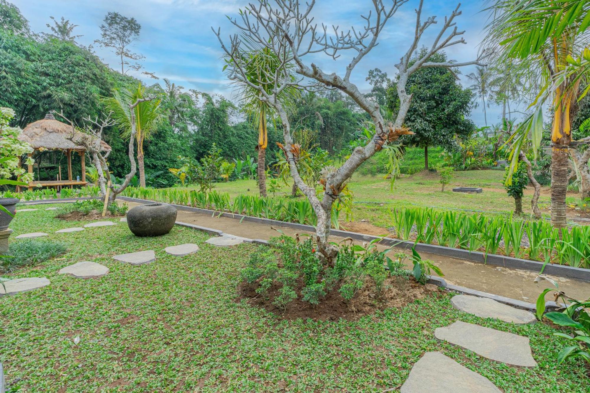 Puri Kurnia Ayu Hotel Ubud Buitenkant foto